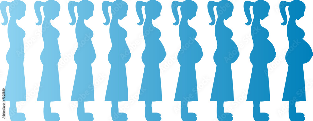 Pregnant Woman Months 1-9 Pregnant Woman Months 1-9