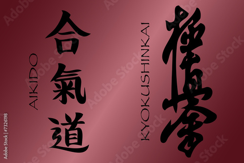 Aikido kyokushinkai