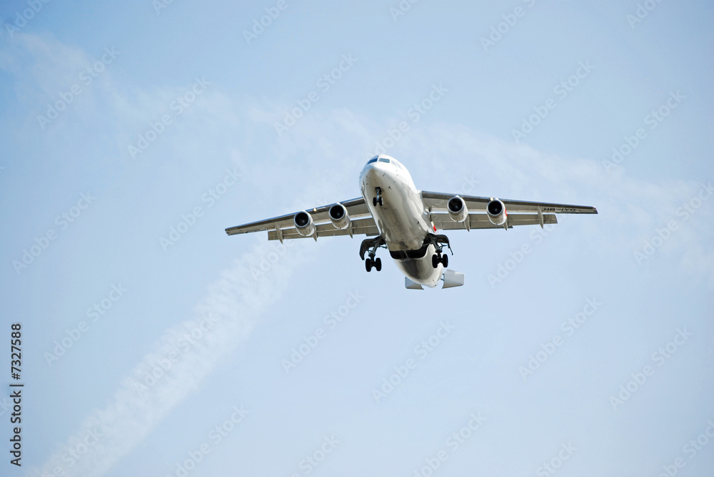 flight flight
