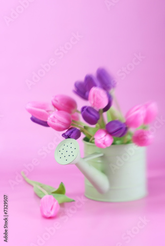 Watering Can and Tulips