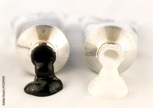 Obraz na plátně Black and white