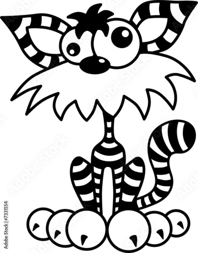 Crazy Cat