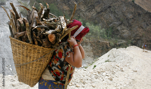 nepali lady carrying firewood, annapurna, nepal photo