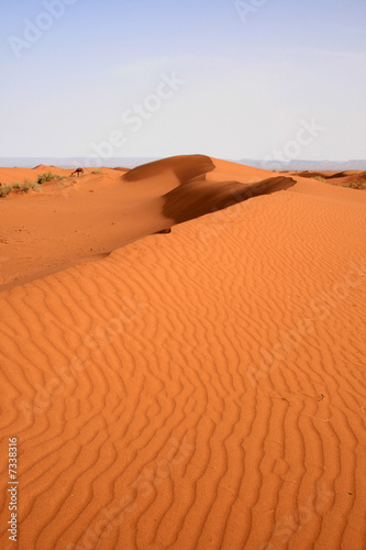 Dune dans le Sahara, Maroc