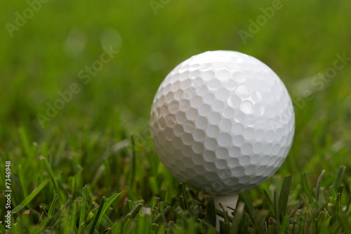 golfball close