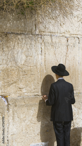 Hasidic Man Praying at the Western Wall, Jerusalem
