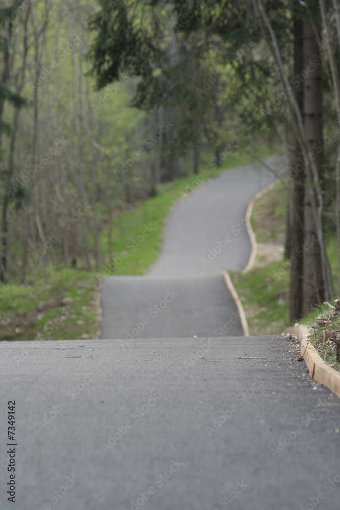 Fototapeta premium strada in mezzo al bosco