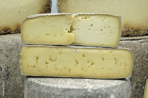 fromage de saint-nectaire photo