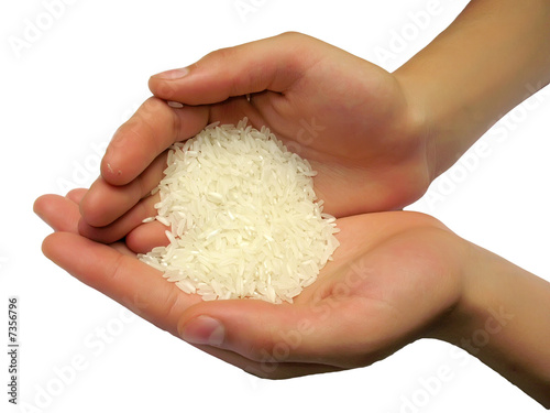 hands with rice (clipping path)
