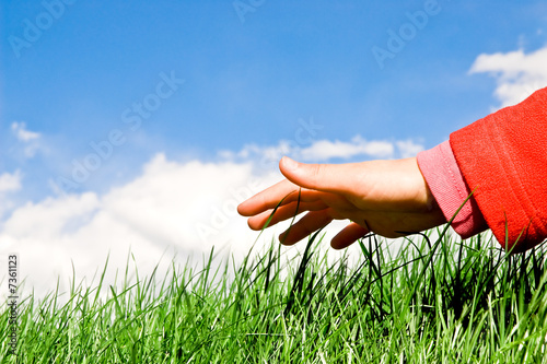 Принти на полотні hand touching the grass