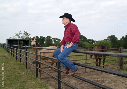 Fotografie Horse Ranch