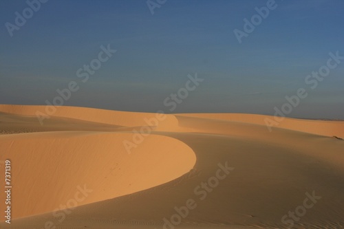 Desert Dunes at Dusk