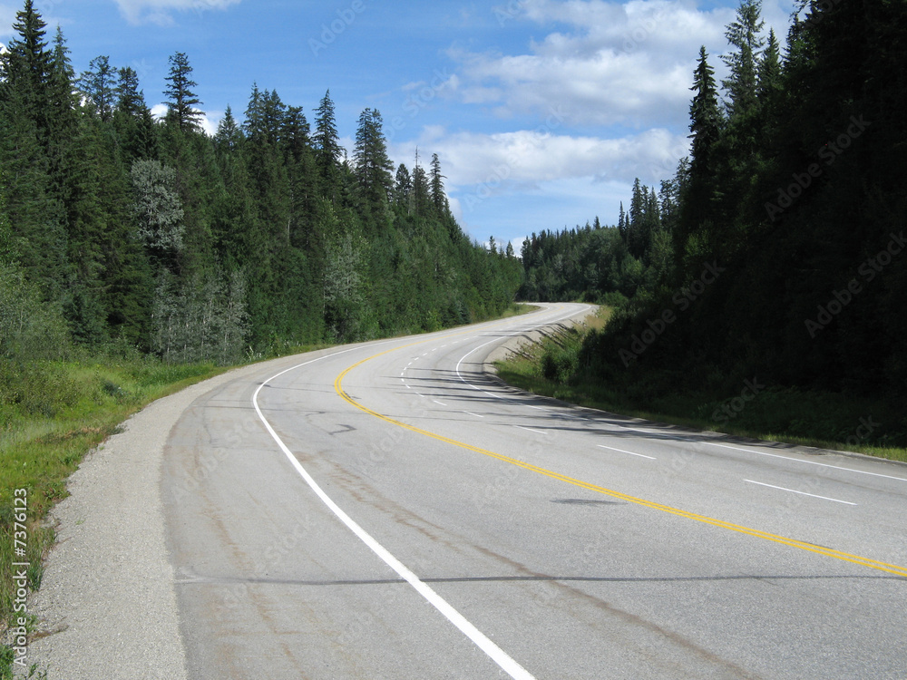 highway in the nature