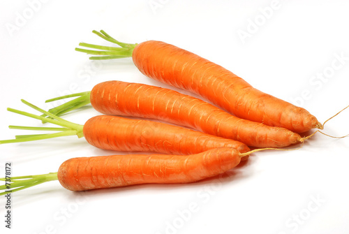 Frische knackige Karotten