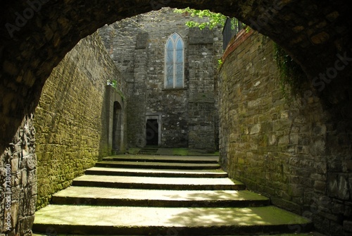 Dublin City Wall and Gates (1240 A.D), St Audoens Church photo