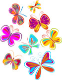 bright butterflies - vector