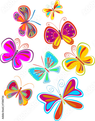 bright butterflies - vector