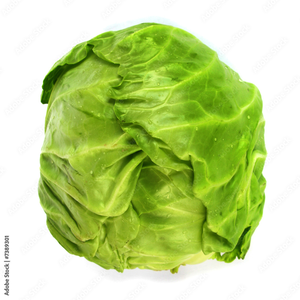 Cabbage isolated on white background Cabbage isolated on white background