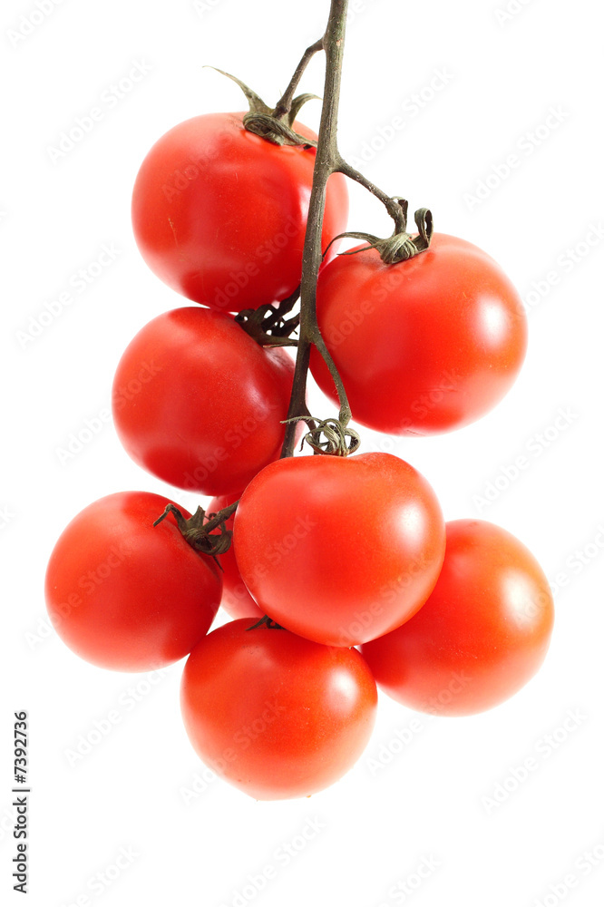 Group a tomato
