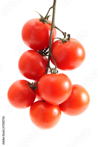 Obraz na płótnie Group a tomato w salonie