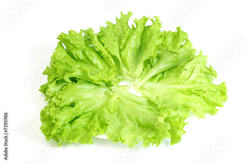 Obraz na płótnie Lettuce w salonie