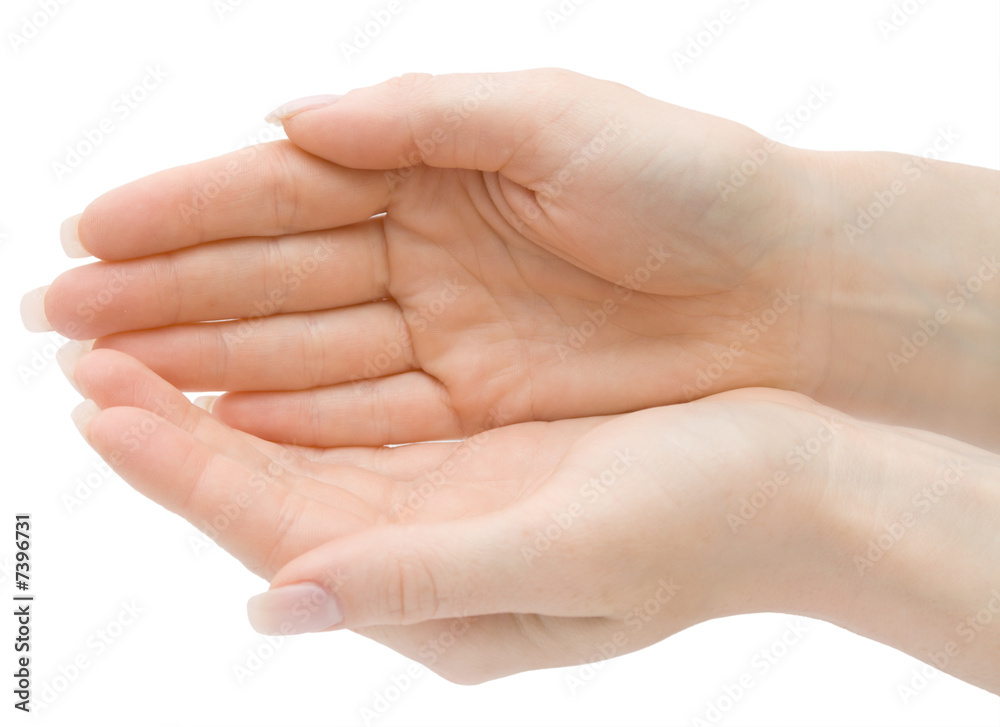Woman hands holding anything isolated with clipping path