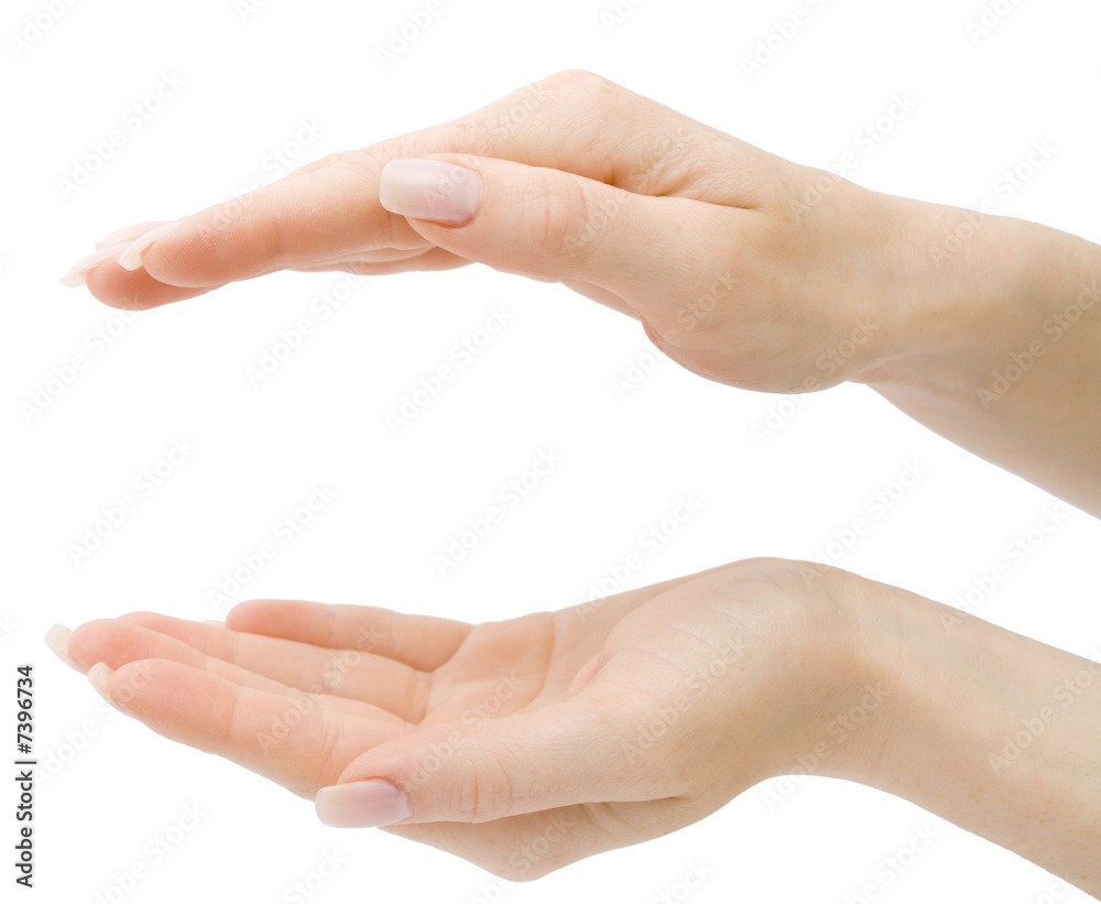 Woman hands holding anything from top and bottom isolated with c Woman hands holding anything from top and bottom isolated with c