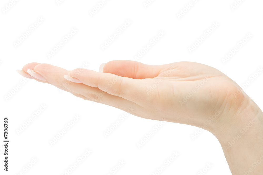 Woman hand holding anything isolated with clipping path Woman hand holding anything isolated with clipping path