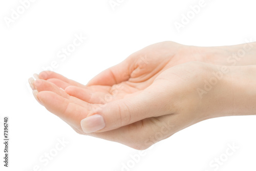 Woman hands holding anything isolated with clipping path