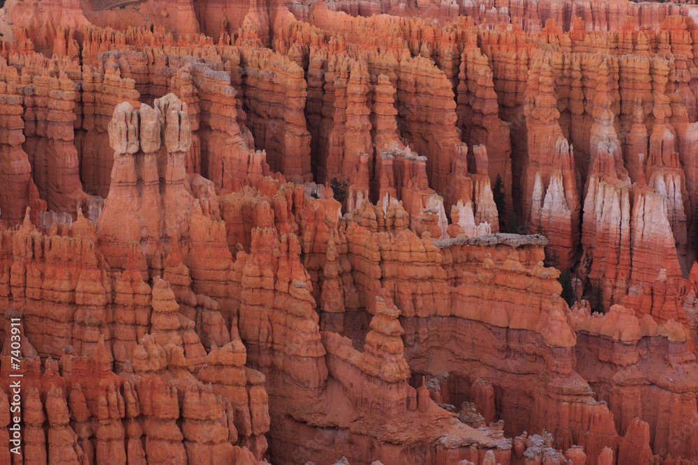 dawn on Bryce Canyon dawn on Bryce Canyon