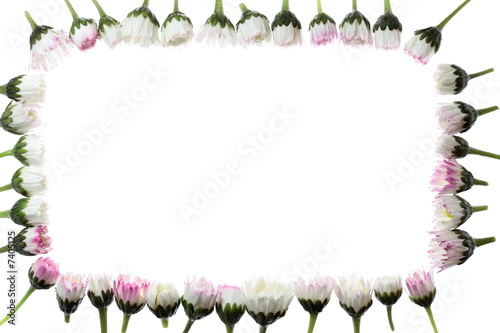 floral frame with space for your text