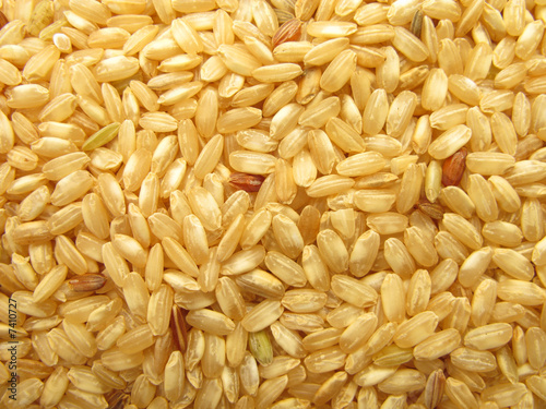 Rice brown  photo