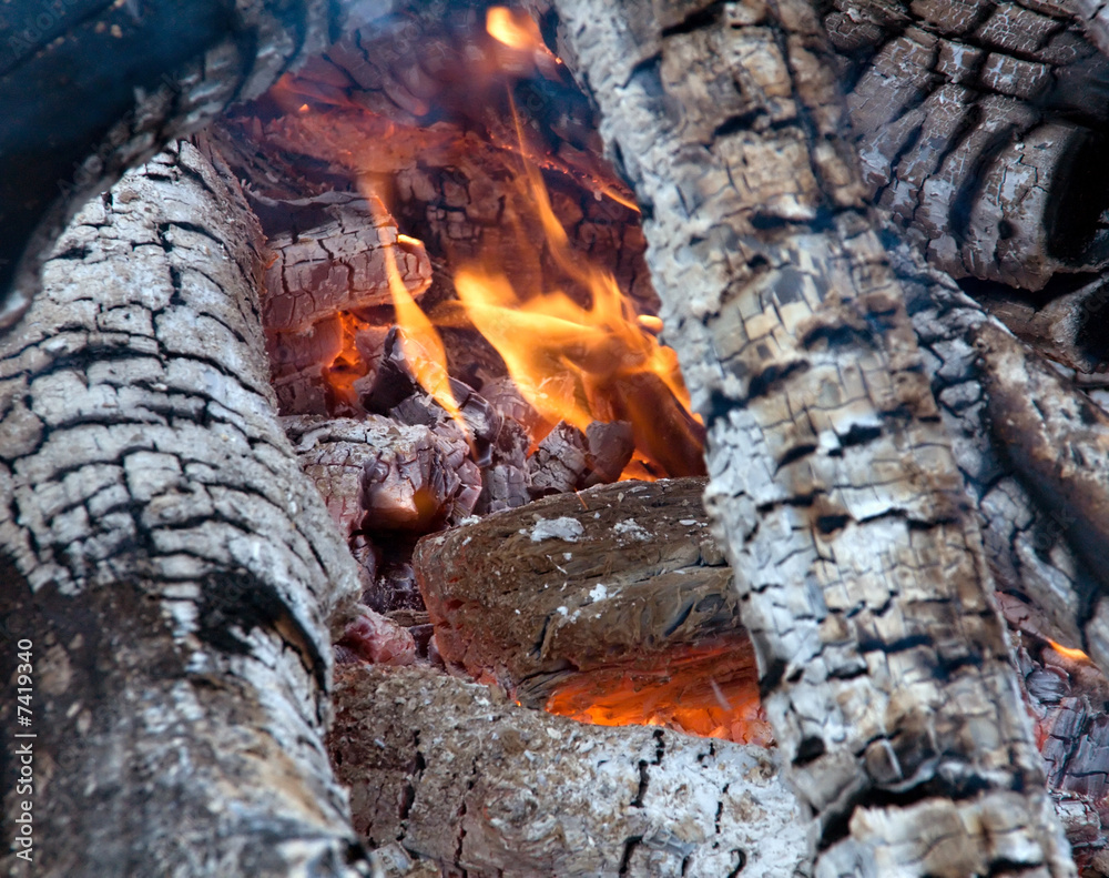 Fototapeta premium Bonfire