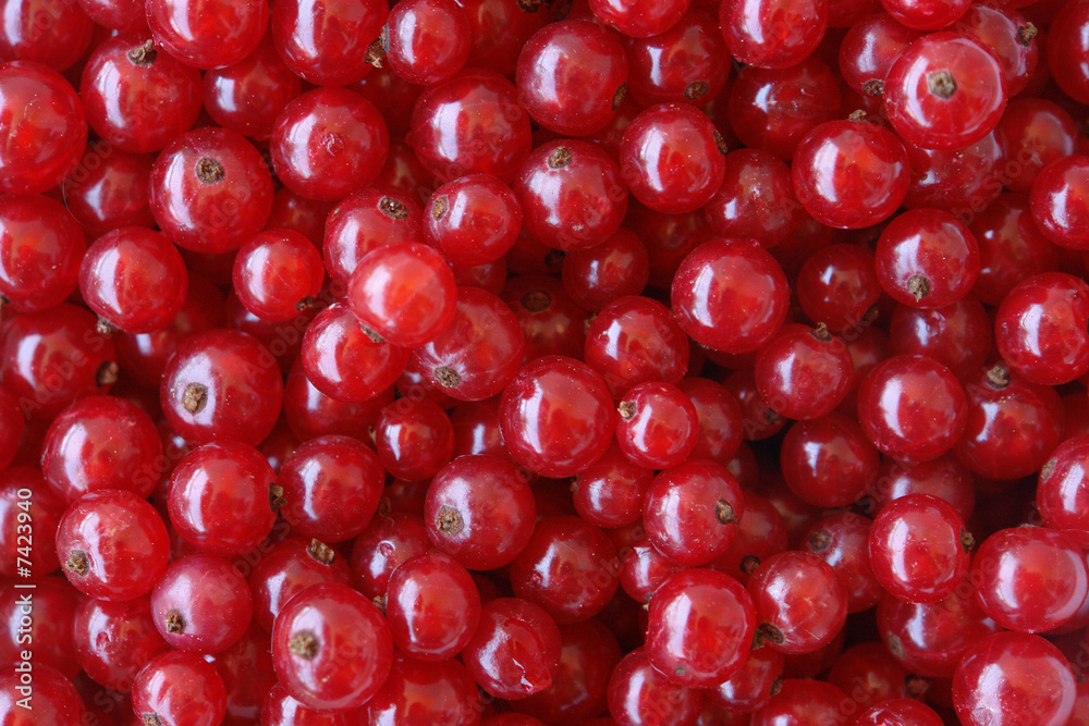 berries berries