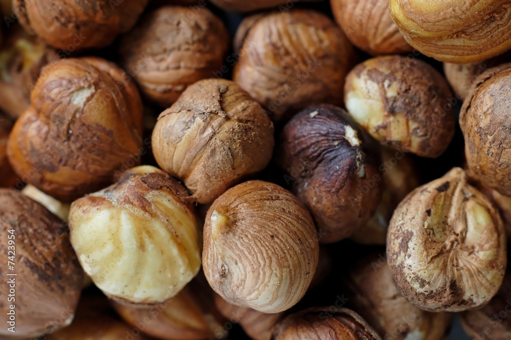 Closeup of couple of brown cleaned hazelnuts Closeup of couple of brown cleaned hazelnuts