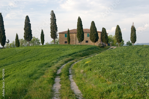 tuscany countryside