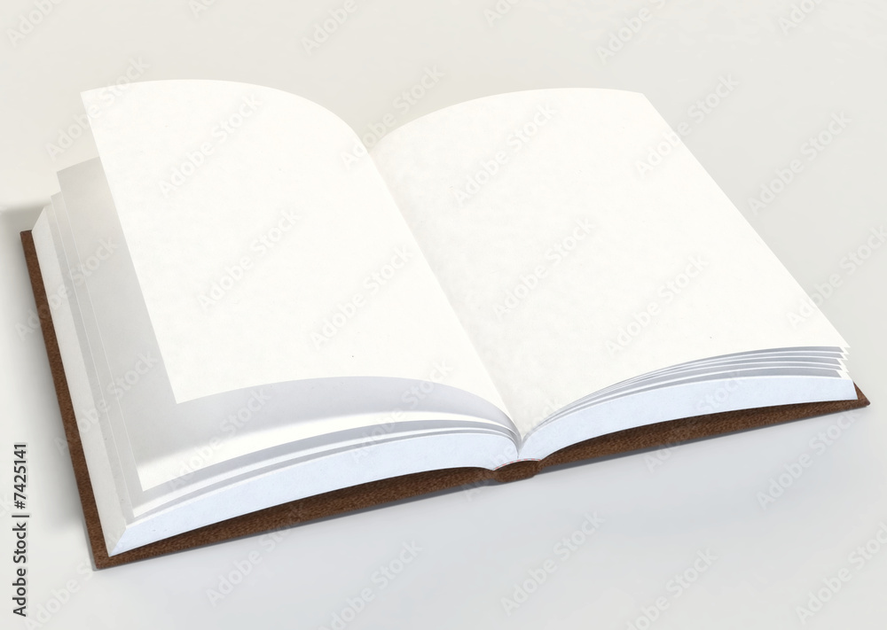 Libro aperto con pagine bianche
