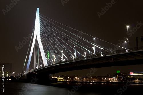 Night view of Erasmus Bridge in Rotterdam