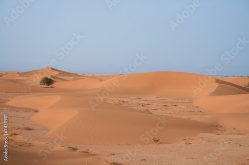 Dunes de sable dans le sahara marocain