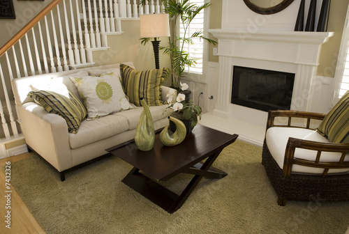 Luxury home living room
