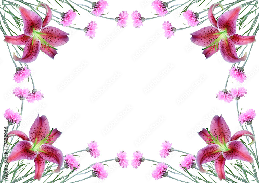 Framework from pink flowers on a white background. Framework from pink flowers on a white background.