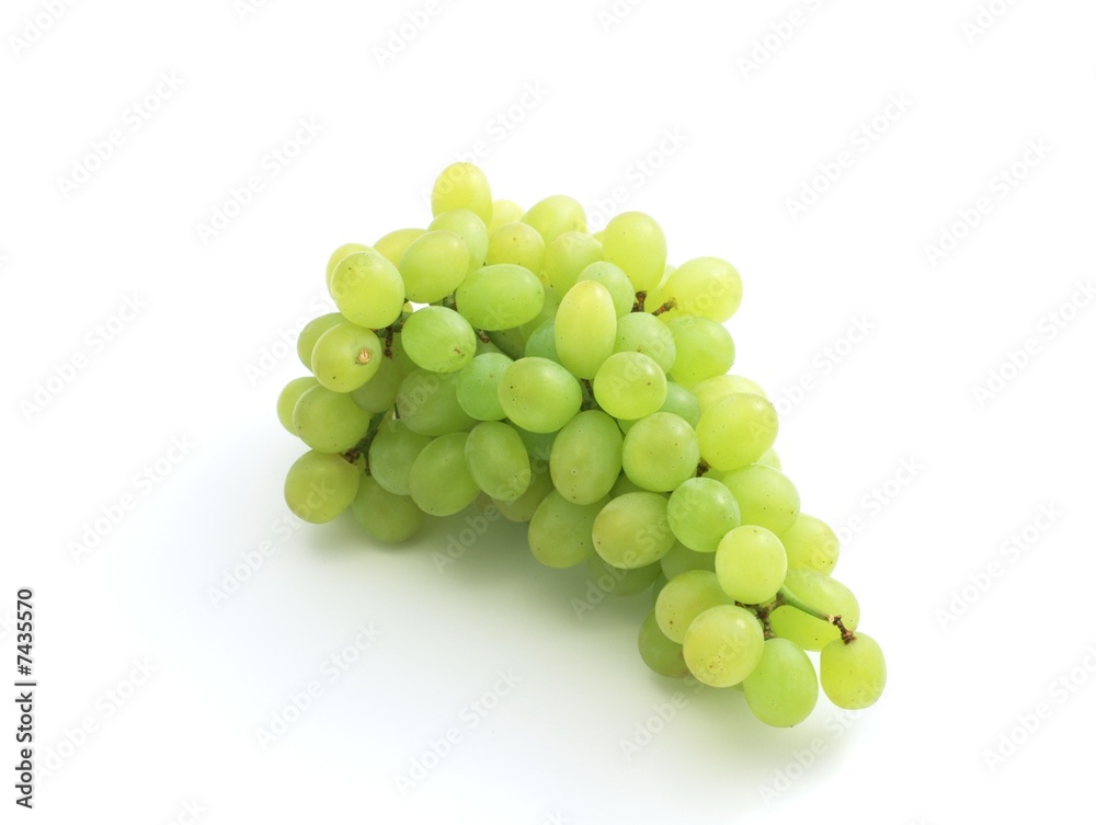 the branch of green grape isolated on the white background