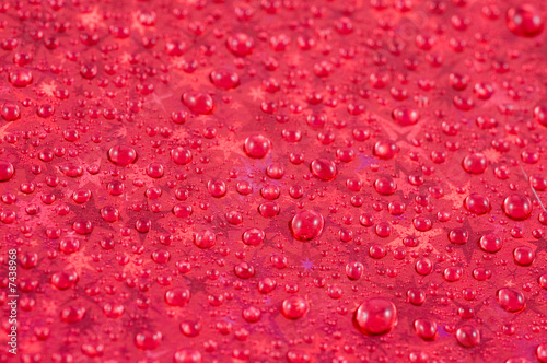 Water Drops