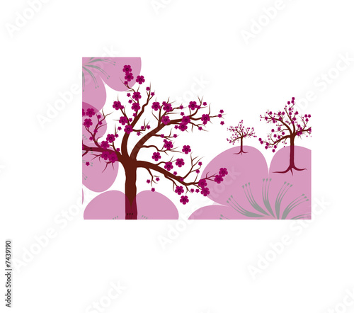 printemps au Japon