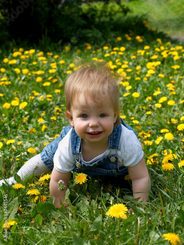 kid with dandelions © Ekaterina Pokrovskay