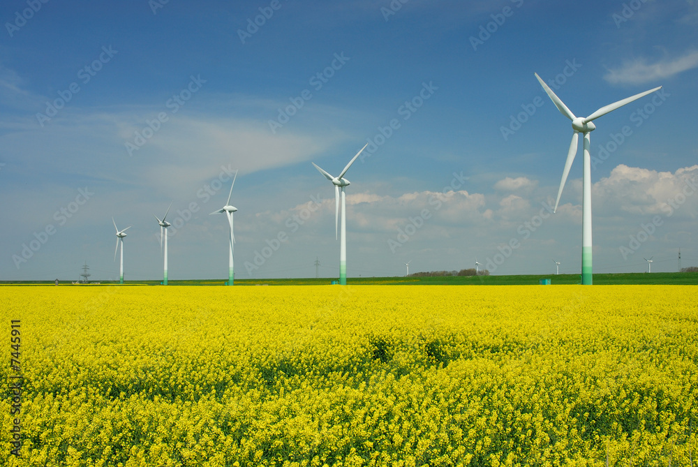 Windpark am Rapsfeld Windpark am Rapsfeld
