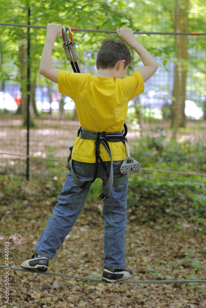 Naklejka premium Acro branche