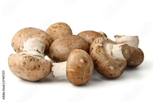 Isolated mushrooms