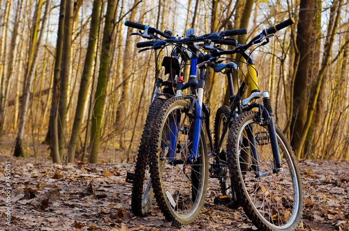 Bicycles in the spring park