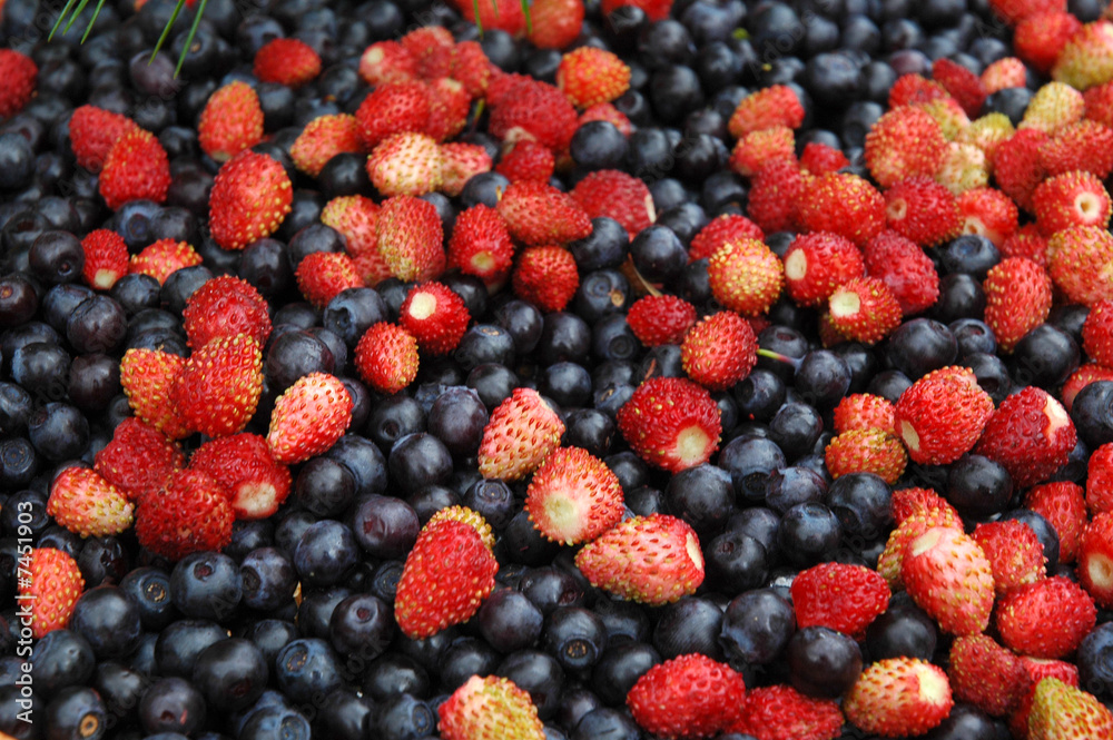 wild strawberry and a bilberry wild strawberry and a bilberry